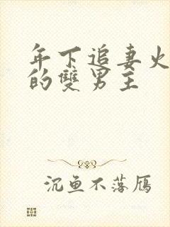 年下追妻火葬场的双男主封面