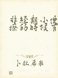 非经期小便完了擦的时候有血封面