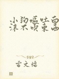 小狗呕吐白色泡沫不吃东西