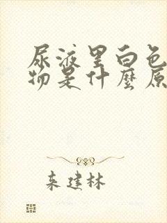 尿液里白色沉淀物是什么原因