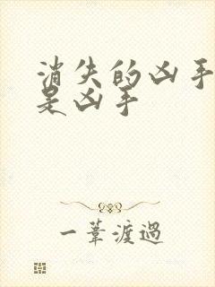 消失的凶手中谁是凶手