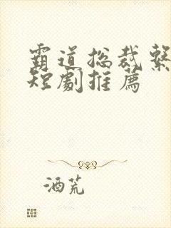 霸道总裁系列 短剧推荐