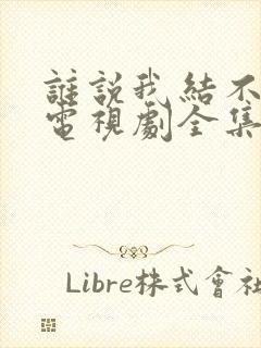 谁说我结不了婚电视剧全集免费