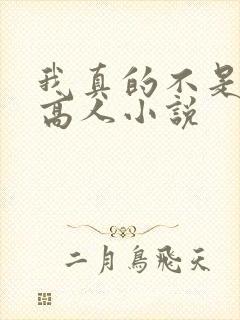 我真的不是绝世高人小说