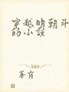 穿越明朝斗朱棣的小说封面