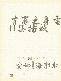 有罪之身电视剧11集播放