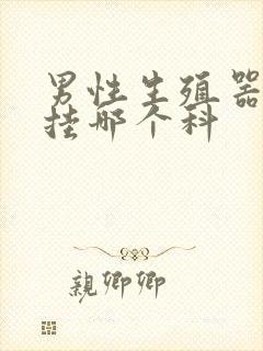 男性生殖器肿大挂哪个科