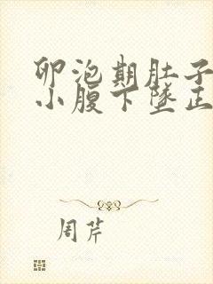 卵泡期肚子胀痛小腹下坠正常吗封面