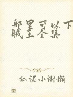 哪里可以下载海贼王全集