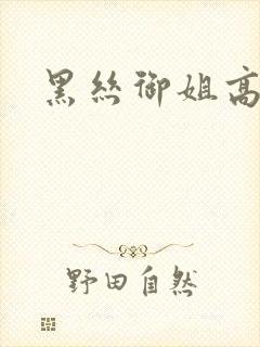 黑丝御姐高潮