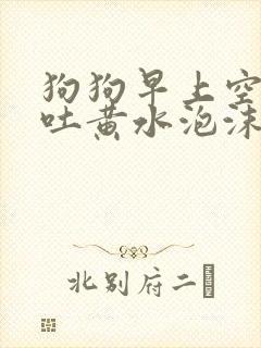 狗狗早上空腹呕吐黄水泡沫粘液