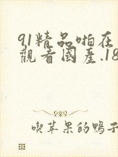 91精品啪在线观看国产.18