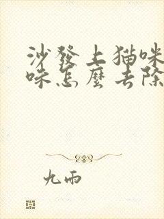 沙发上猫咪尿骚味怎么去除