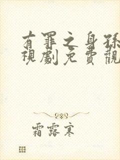 有罪之身孙千电视剧免费观看