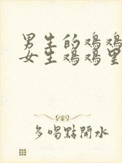 男生的鸡鸡插入女生鸡鸡里