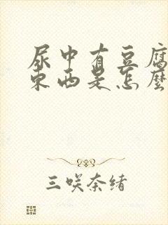 尿中有豆腐渣状东西是怎么回事