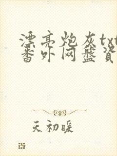 漂亮炮灰txt番外网盘资源