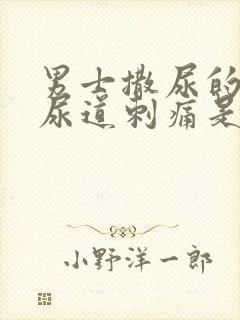 男士撒尿的时候尿道刺痛是什么原因封面