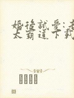 婚后试爱:老公太霸道下载全本txt