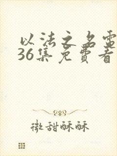 以法之名电视剧36集免费看