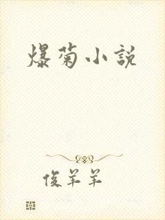 爆菊小说