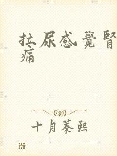 拉尿感觉肾有点痛