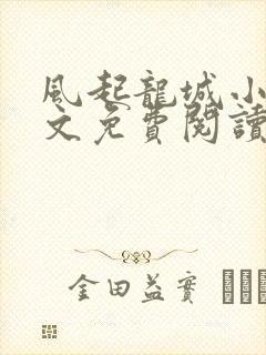 风起龙城小说全文免费阅读无弹窗