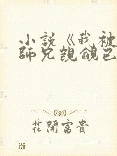 小说《我被清冷师兄觊觎已久》