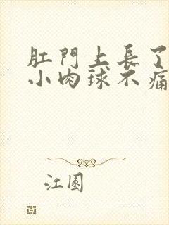 肛门上长了一个小肉球不痛不痒