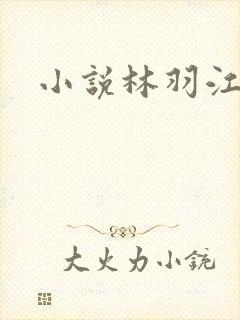 小说林羽江颜