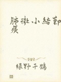 肺微小结节肺有痰