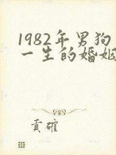 1982年男狗一生的婚姻和命运
