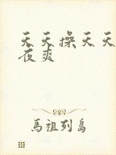 天天操天天舔夜夜爽封面