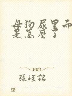 母狗尿里面尿血是怎么了