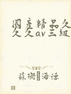 国产精品久久久久久av三级