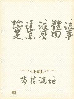 阴道液体流的多是怎么回事