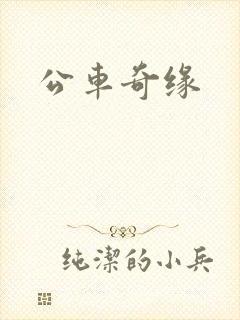 公车奇缘封面