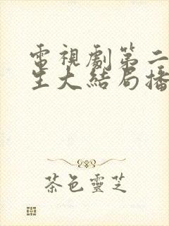 电视剧第二次人生大结局播放