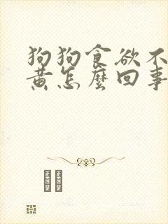 狗狗食欲不振尿黄怎么回事封面