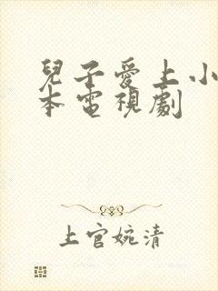 儿子爱上小妈日本电视剧