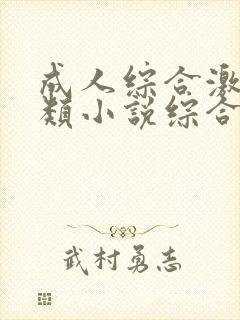 成人综合激情另类小说综合网