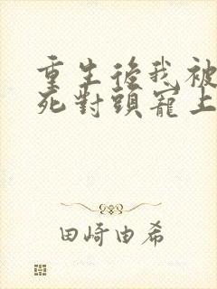 重生后我被渣男死对头宠上天