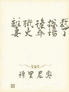 离职后总裁她追妻火葬场了