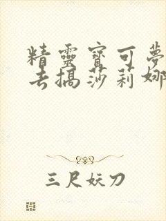 精灵宝可梦小智去搞莎莉娜