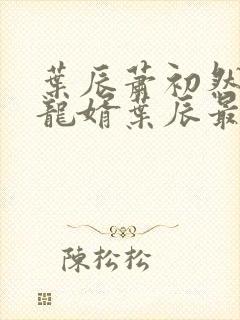 叶辰萧初然上门龙婿叶辰最新