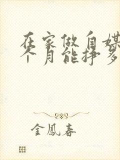 在家做自媒体一个月能挣多少钱