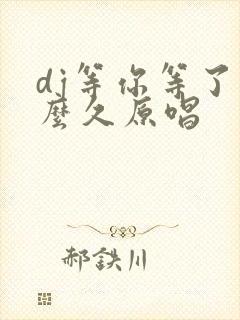 dj等你等了那么久原唱