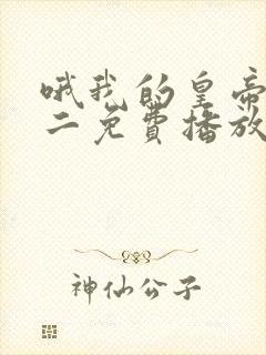 哦我的皇帝陛下二免费播放