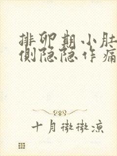排卵期小肚子右侧隐隐作痛正常吗封面