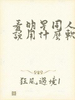 看明星同人文小说用什么软件比较好